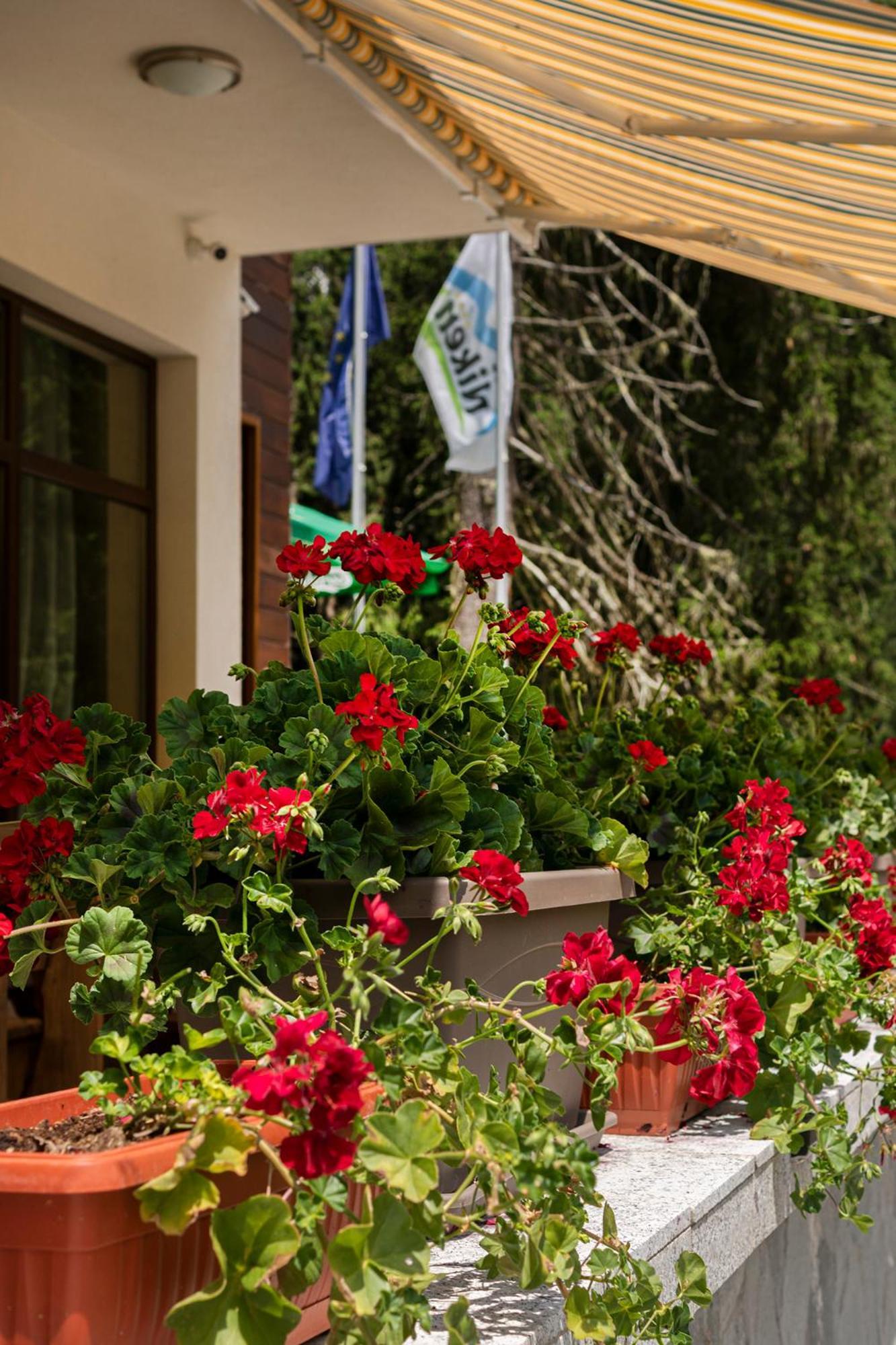 פמפורובו Hotel Niken מראה חיצוני תמונה